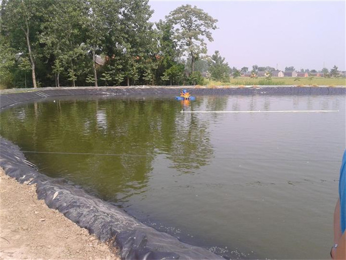 1644834678266134.jpg 1-1Z506101926.jpg